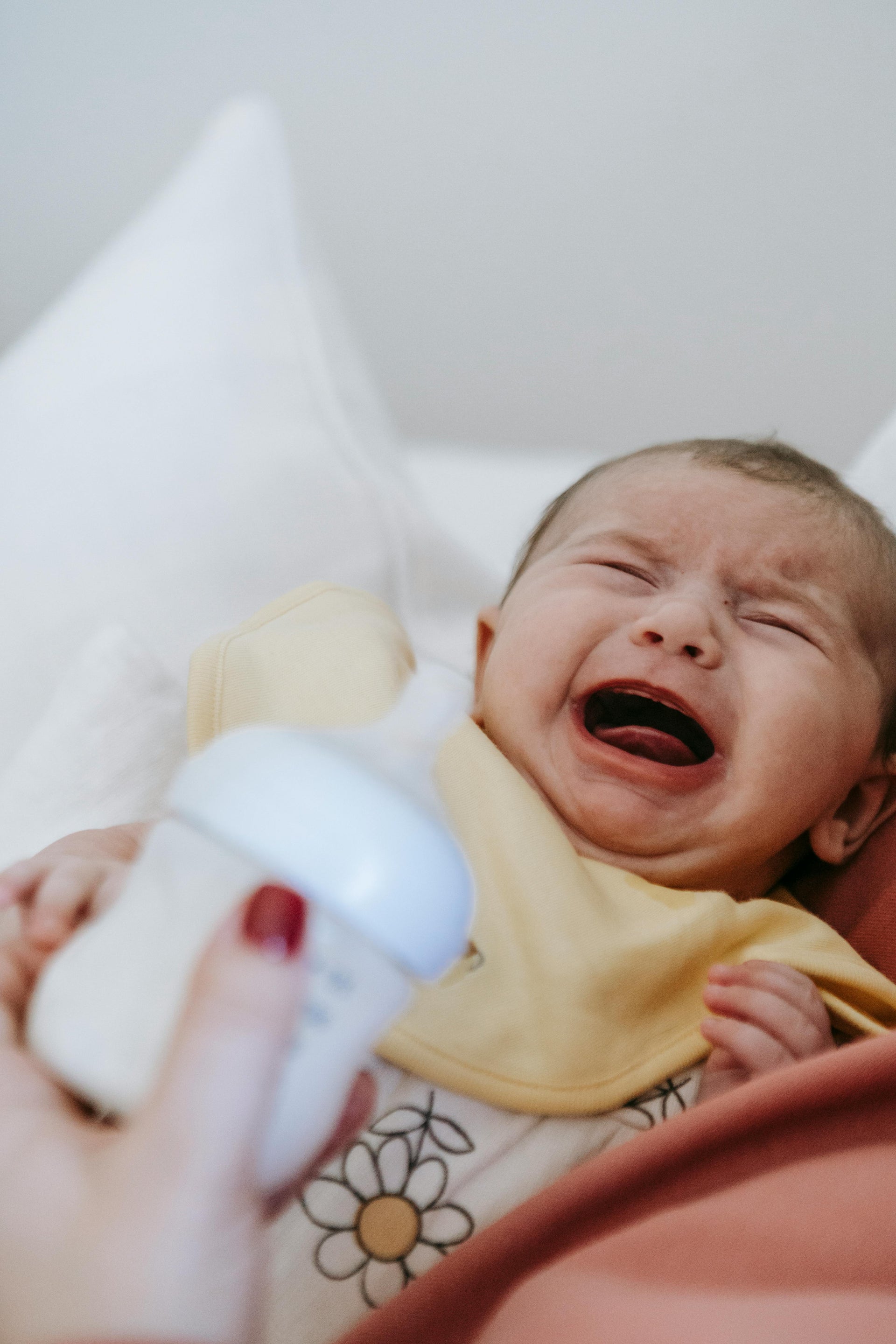 The Crying That Won't Stop: What New Science Says About Colic and Your Baby's Gut