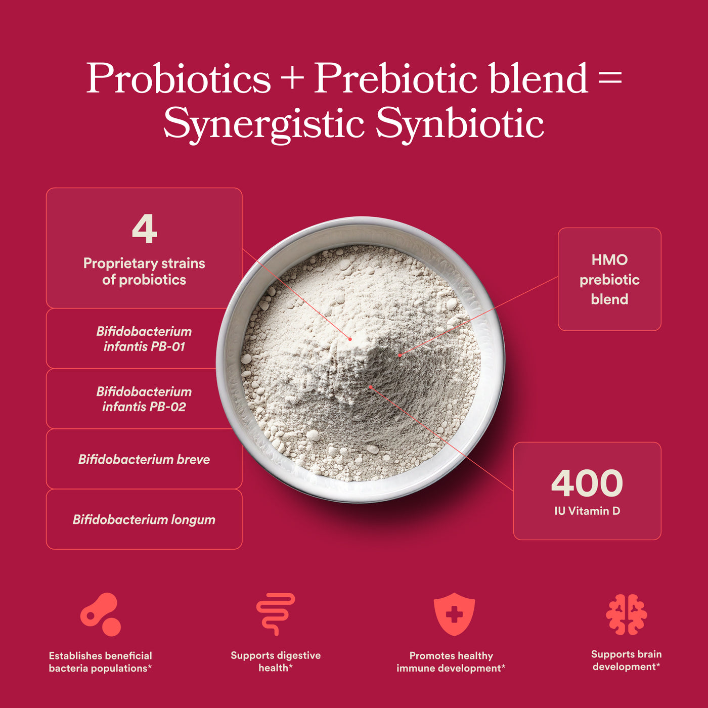 Synergistic Synbiotic